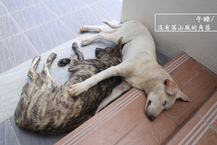 車城鄉海口港~~落山風藝術季