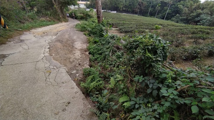 [樂山童盟] [桃園龍潭] 石門山-清水坑山-太平山