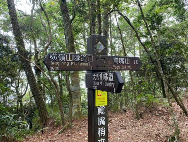 台中和平|鳶嘴山.垂直山壁攀爬拉繩,險峻危崖挑戰膽識與體能