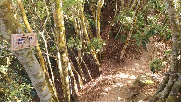 [樂山童盟] [台中和平] 谷關七雄-屋我尾山(大雪山林道登山口31.2K)