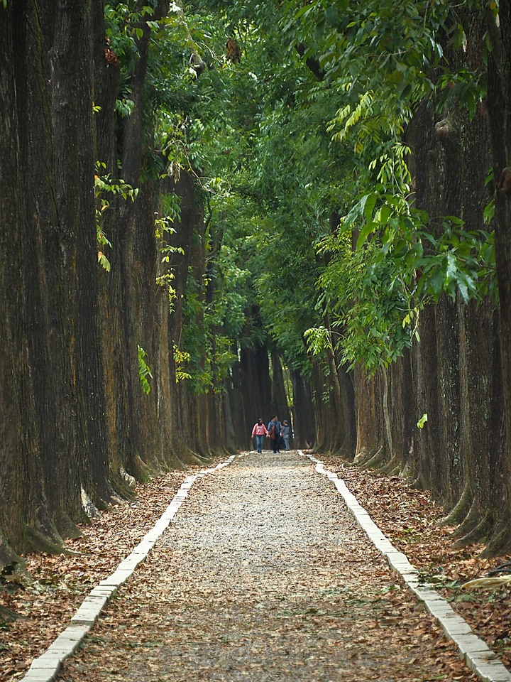 【小惡魔慶牛年】新威森林公園|茂林國家風景區管理處 — 傳說中有著異國風情的絕美婚紗秘境 — 牛年行春之旅第3站
