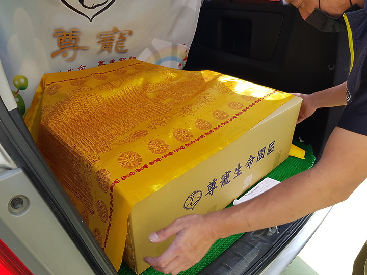 送別10幾年的寵物家人 ｜ 尊寵寵物的告別