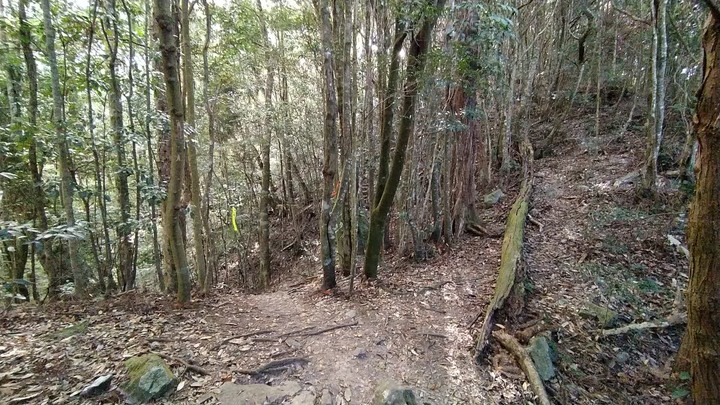 [樂山童盟] [台中和平] 谷關七雄-屋我尾山(大雪山林道登山口31.2K)