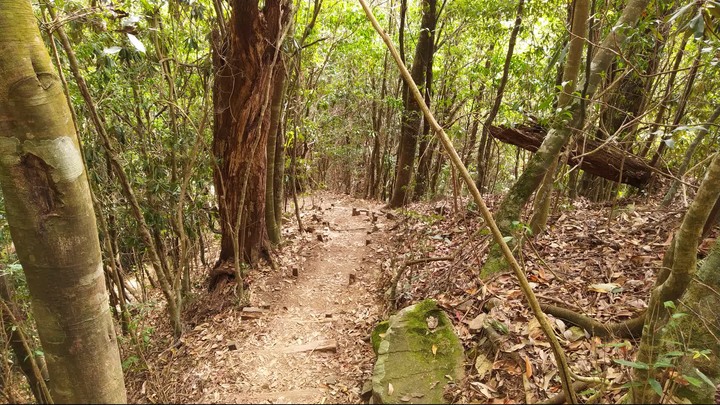 [樂山童盟] [台中和平] 谷關七雄-屋我尾山(大雪山林道登山口31.2K)