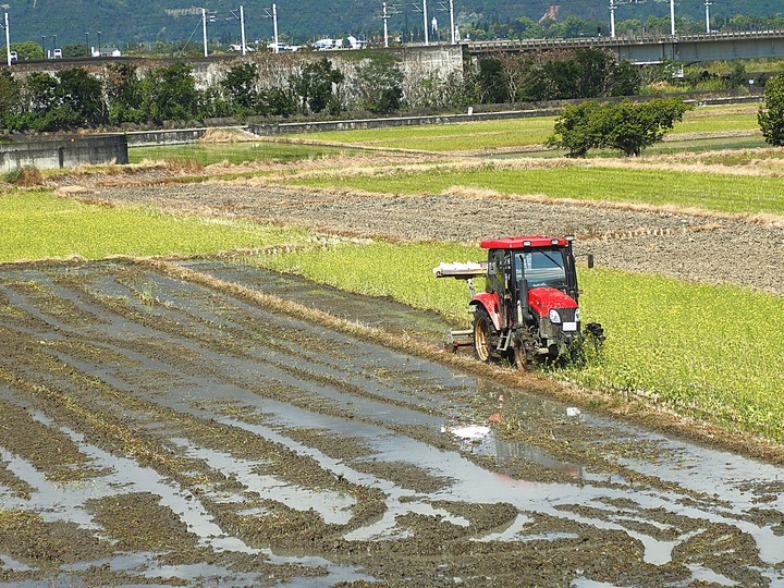 【小惡魔慶牛年】富里 舊東里火車站|東里鐵馬驛站 — 感受花東縱谷、稻米原鄉的天寬地濶 — 鼠末牛初之防疫返鄉之旅第8站