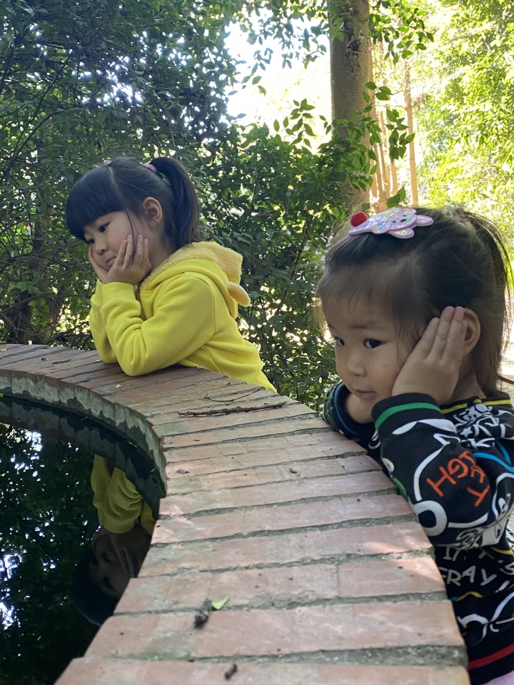 日月山景休閑農場～免入門票～小火車，大草皮，餵牛羊，親子同遊