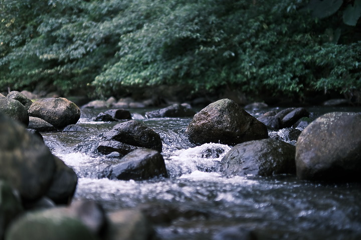 Fujifilm XF 50mm f/1.0 R WR 評測報告|富士「夜神」果然名不虛傳!