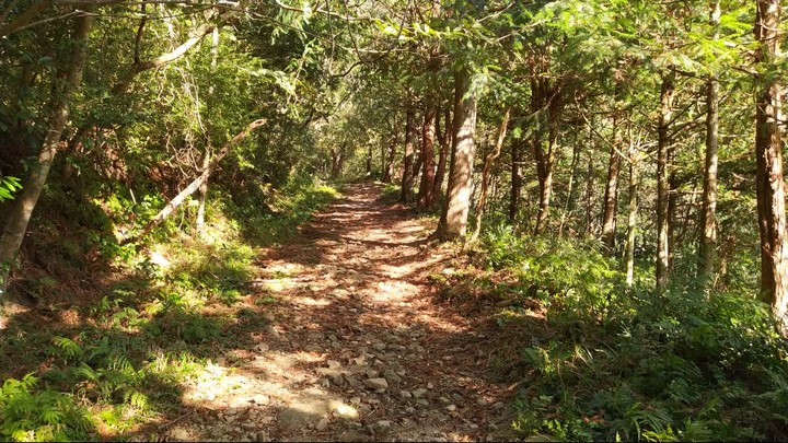 [樂山童盟] [新竹尖石] 水田林道全線-鴛鴦谷瀑布群步道