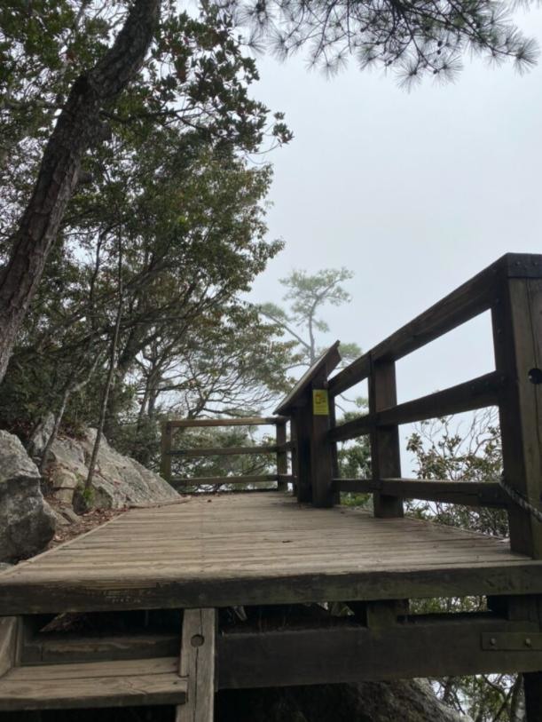 台中和平|鳶嘴山.垂直山壁攀爬拉繩,險峻危崖挑戰膽識與體能