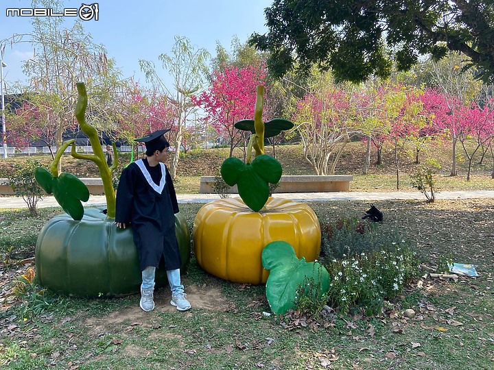 【小惡魔慶牛年】青青湖畔親水公園餵兔記、星願紫風車 | 台中中興嶺半日遊