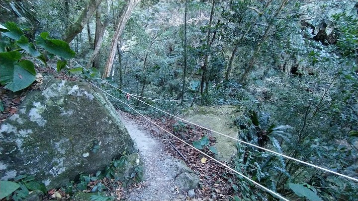 [樂山童盟] [新竹尖石] 水田林道全線-鴛鴦谷瀑布群步道