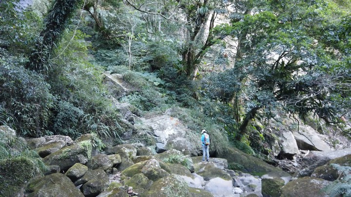 [樂山童盟] [新竹尖石] 水田林道全線-鴛鴦谷瀑布群步道