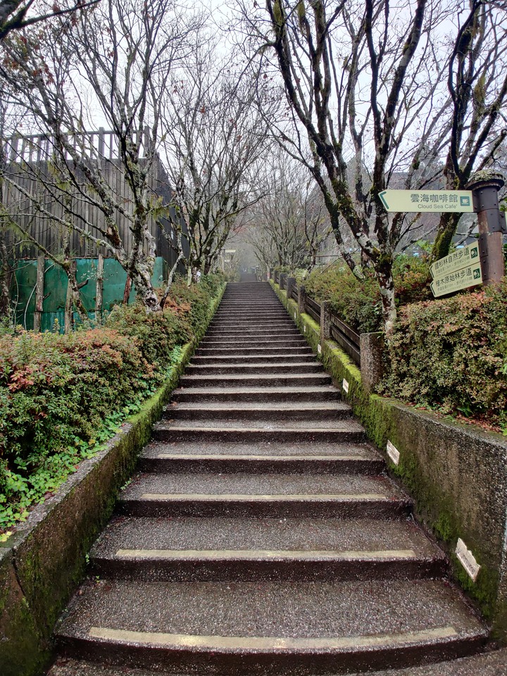 【小惡魔慶牛年】太平山莊 ◆賞星空、觀日出、曬帥照、吃美食◆ 多種夢想一次滿足!