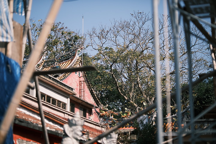 Fujifilm XF 50mm f/1.0 R WR 評測報告｜富士「夜神」果然名不虛傳！