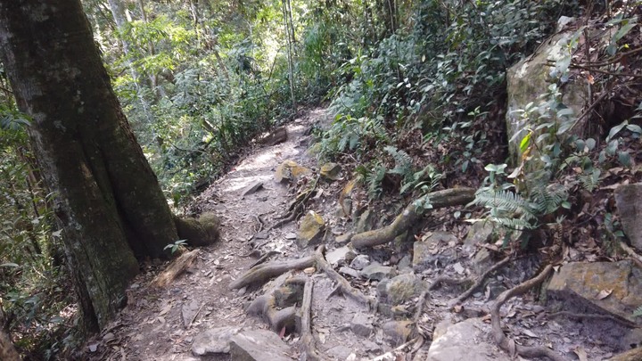 [樂山童盟] [台中和平] 谷關七雄-屋我尾山(大雪山林道登山口31.2K)