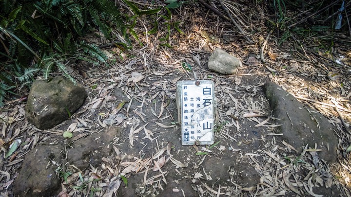 【大溝溪生態治水園區】 龍船岩、開眼山、大邱田天然石壁心形路線