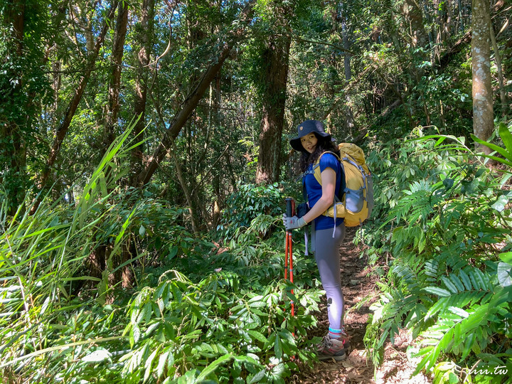 賞楓聖地・馬那邦山Y字連走細道邦山