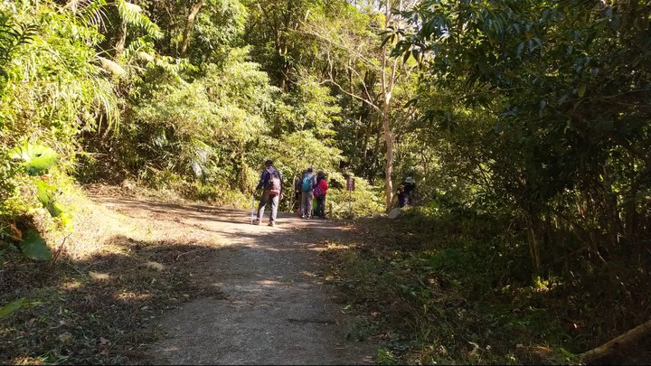 [樂山童盟] [新竹尖石] 水田林道全線-鴛鴦谷瀑布群步道