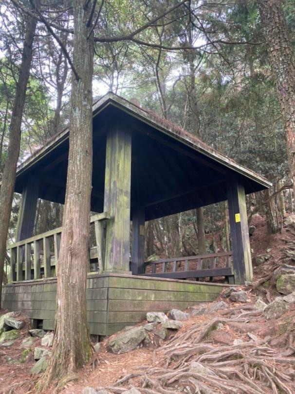 台中和平|鳶嘴山.垂直山壁攀爬拉繩,險峻危崖挑戰膽識與體能