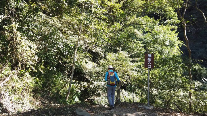 [樂山童盟] [新竹尖石] 水田林道全線-鴛鴦谷瀑布群步道