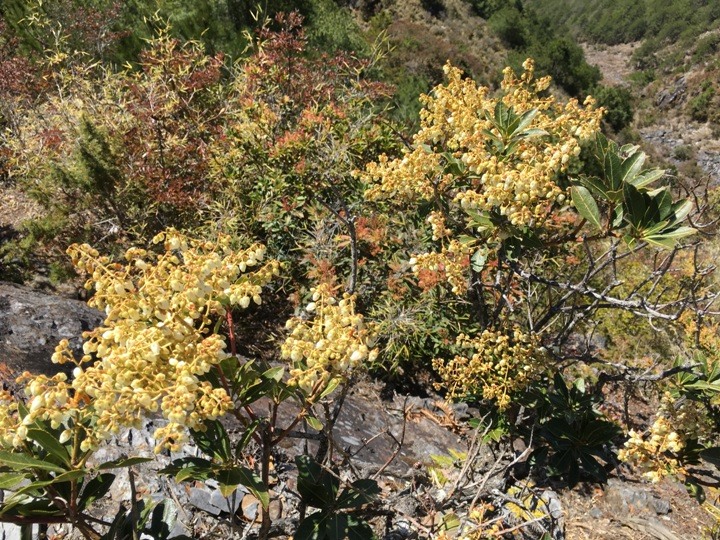 一輩子只「爬」一次的玉山前峰