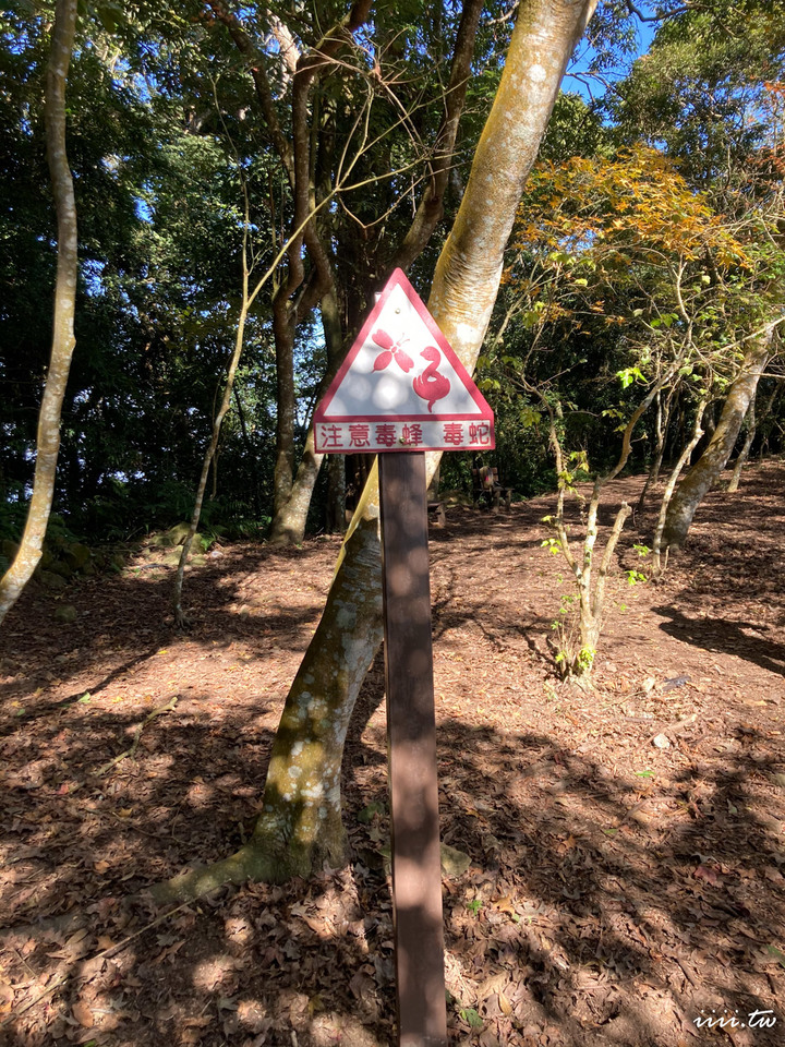 賞楓聖地・馬那邦山Y字連走細道邦山