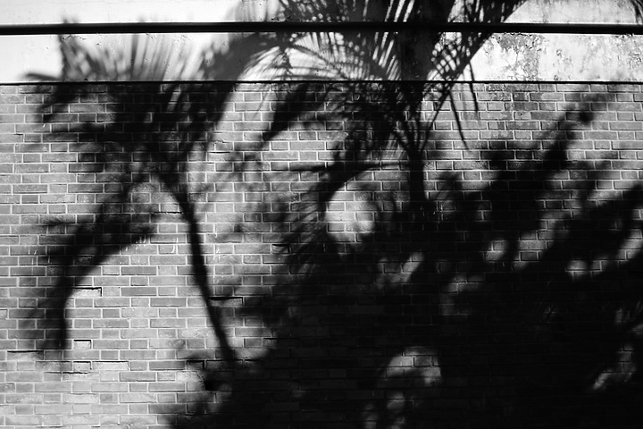 Kamlan 32mm f/1.1 評測報告|可攻可守的平價大光圈鏡頭!