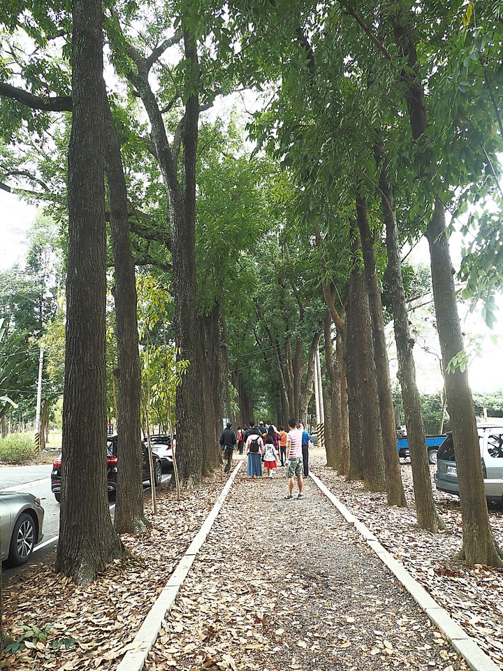 【小惡魔慶牛年】新威森林公園|茂林國家風景區管理處 — 傳說中有著異國風情的絕美婚紗秘境 — 牛年行春之旅第3站