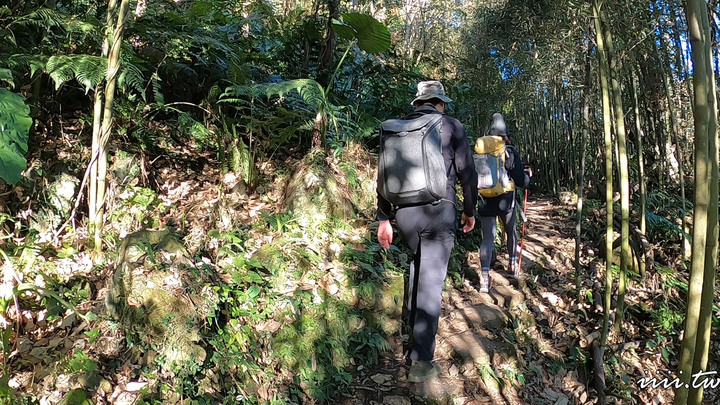 賞楓聖地・馬那邦山Y字連走細道邦山