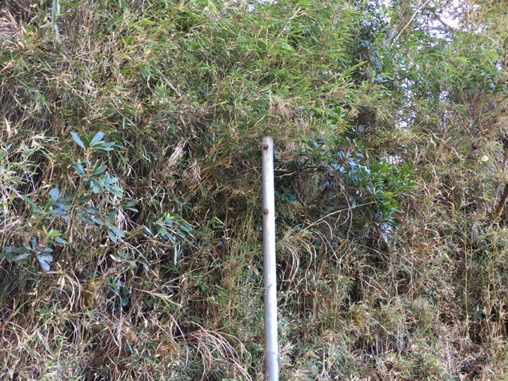 一輩子只「爬」一次的玉山前峰