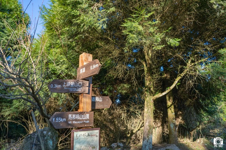 賞楓聖地・馬那邦山Y字連走細道邦山