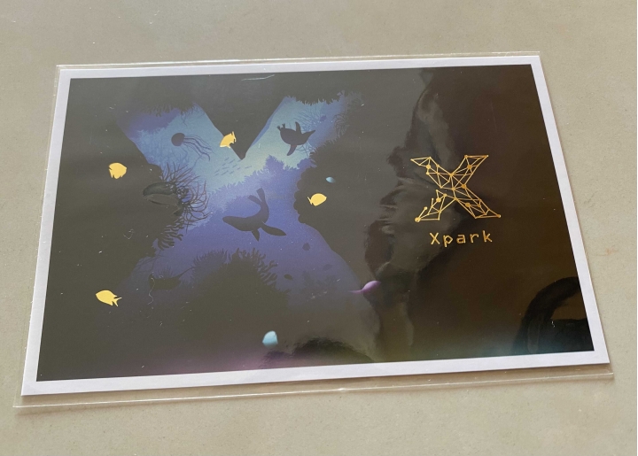 桃園Xpark水族館～附探索之謎參考解答～海豹，企鵝，鯊魚～