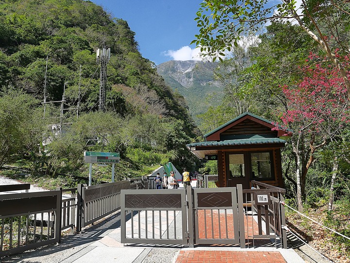 【小惡魔慶牛年】秀林 布洛灣 山月吊橋 — 跨越氣勢磅礡山谷間的銀帶 — 鼠末牛初之防疫返鄉之旅第1站