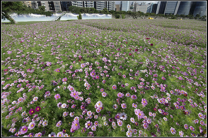最近的一些照片