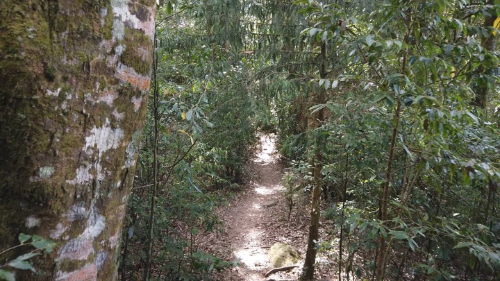 [樂山童盟] [台中和平] 谷關七雄-屋我尾山(大雪山林道登山口31.2K)
