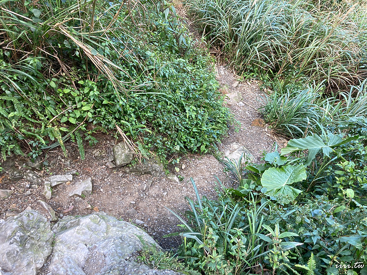 牛伏礦體・無敵海景大平台