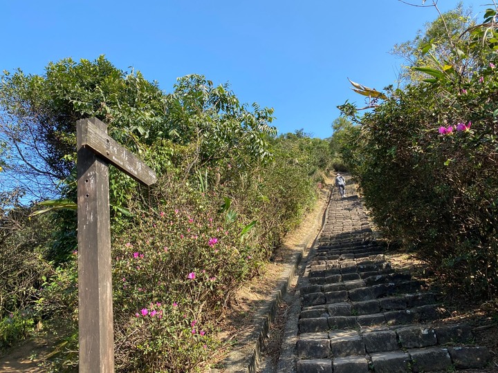 新北瑞芳｜基隆山．黃金山城半小時可登頂，欣賞岬彎海景