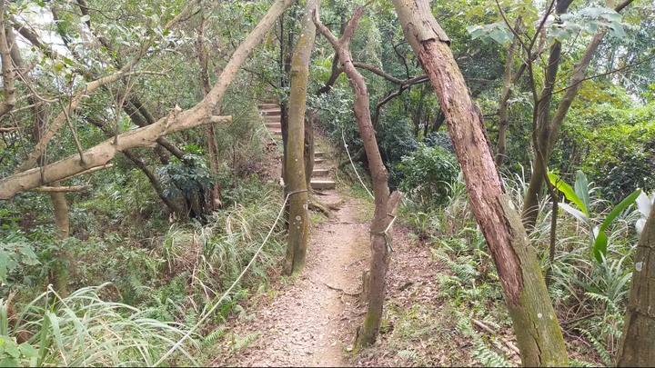 [樂山童盟] [新北鶯歌] 鶯歌石山-牛灶坑山-龜公山