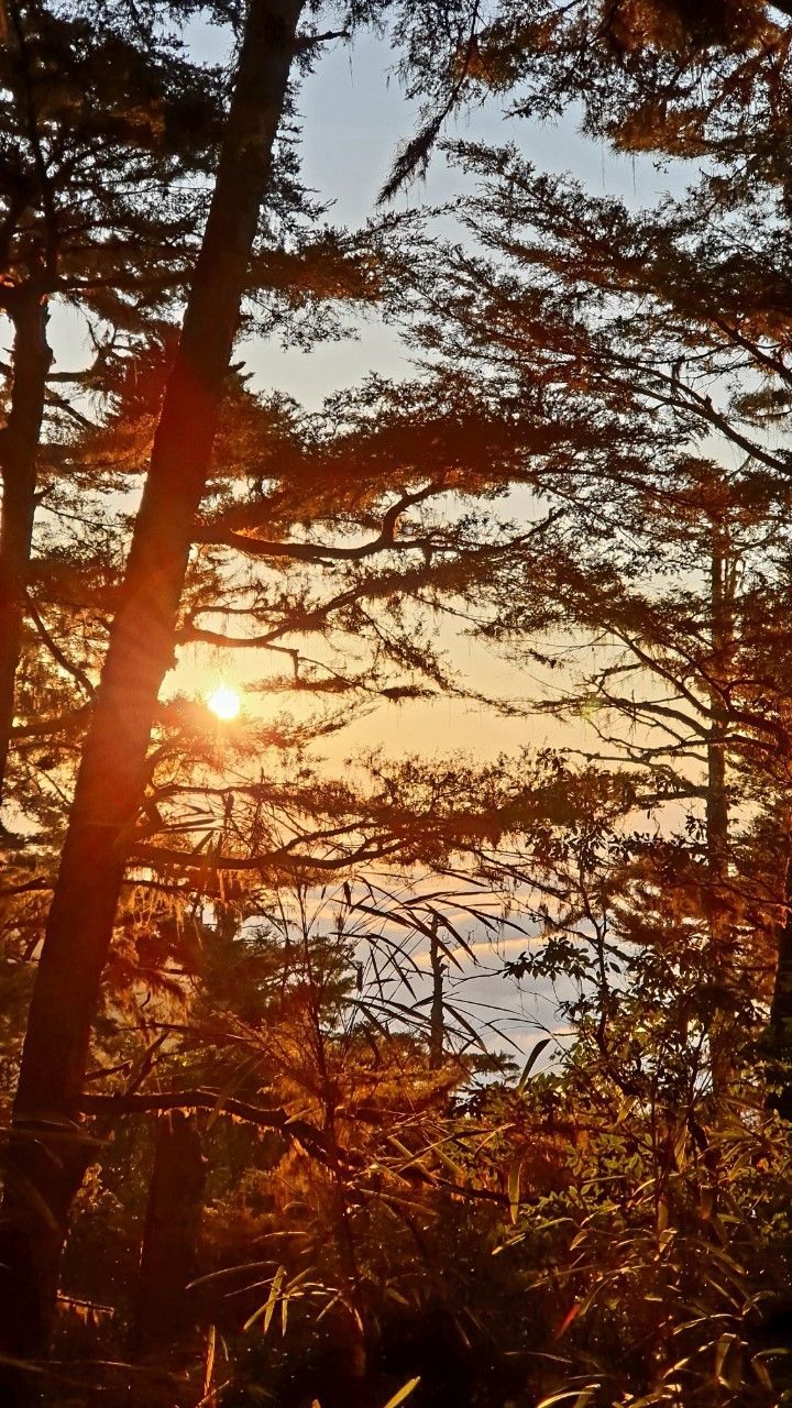 百岳的起點 羊頭山
