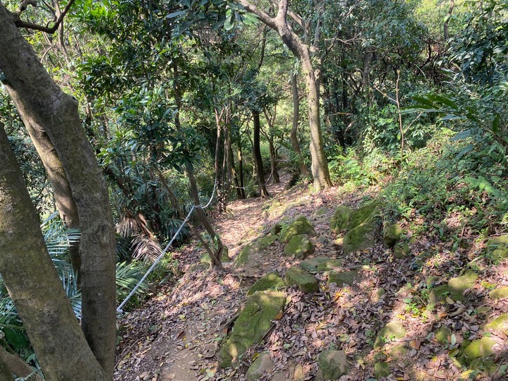 新北鶯歌｜孫龍步道-牛灶坑山-鶯歌石．鶯歌地名的由來，親子路線推薦