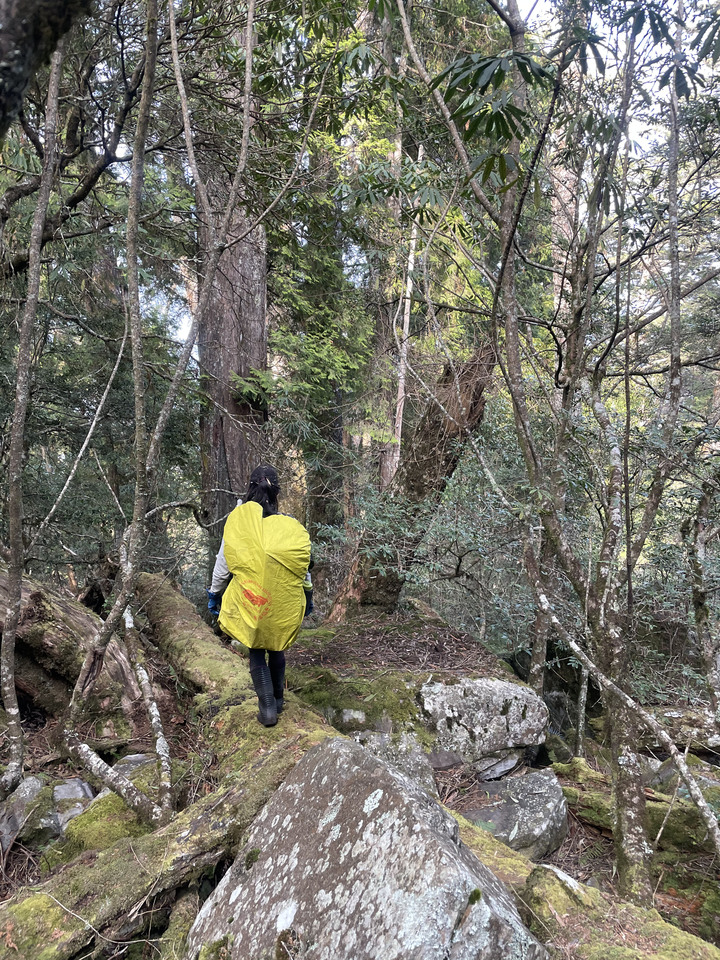 2021.02.27-03.01中橫健行心路線