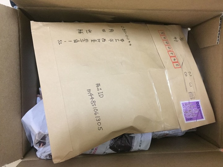 早期寶可夢延續至今的熱潮  (推薦文)