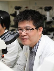點我看大圖 常被誤認老人慢性病多發性骨髓瘤侵襲銀髮族