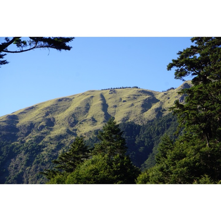 【寒流來了，我要活下去】｜能高越嶺古道(結冰環境硬要睡單層帳)
