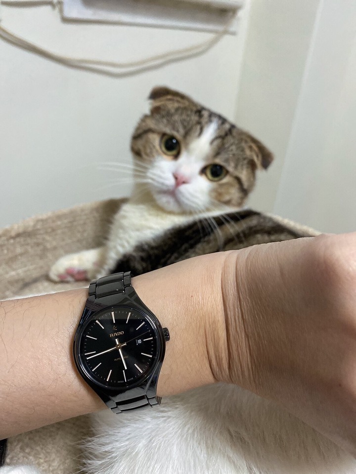 RADO 對錶(開箱)