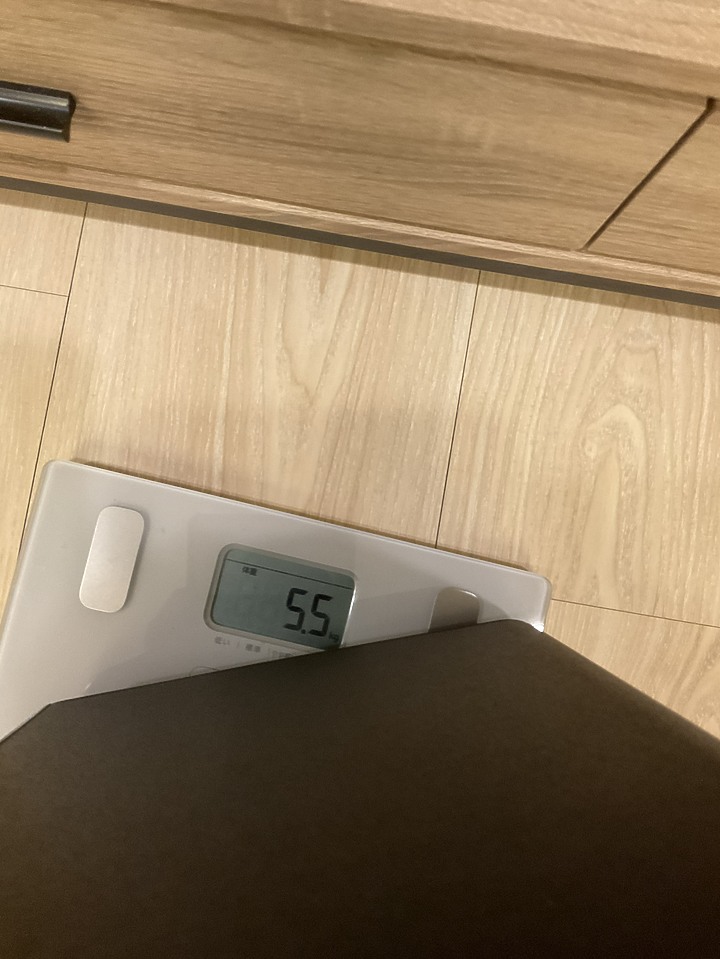 終於入手了派對喇叭,PHILIPS TANX100
