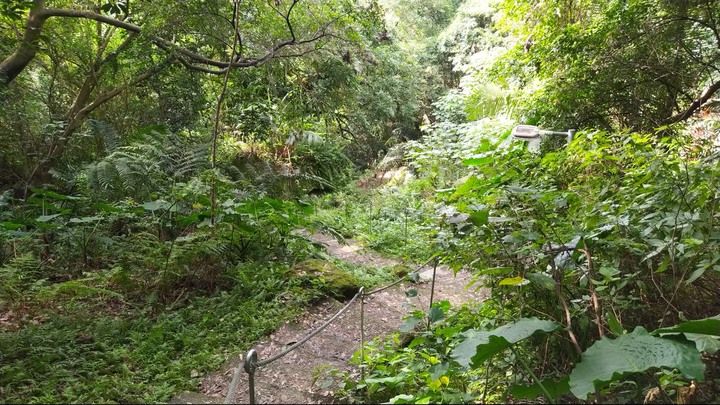 [樂山童盟] [新北鶯歌] 鶯歌石山-牛灶坑山-龜公山