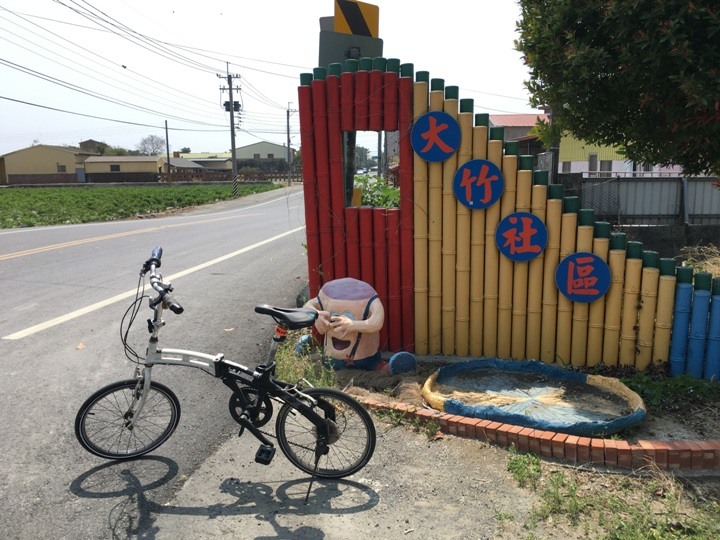 騎遊全球最美木棉花道在白河