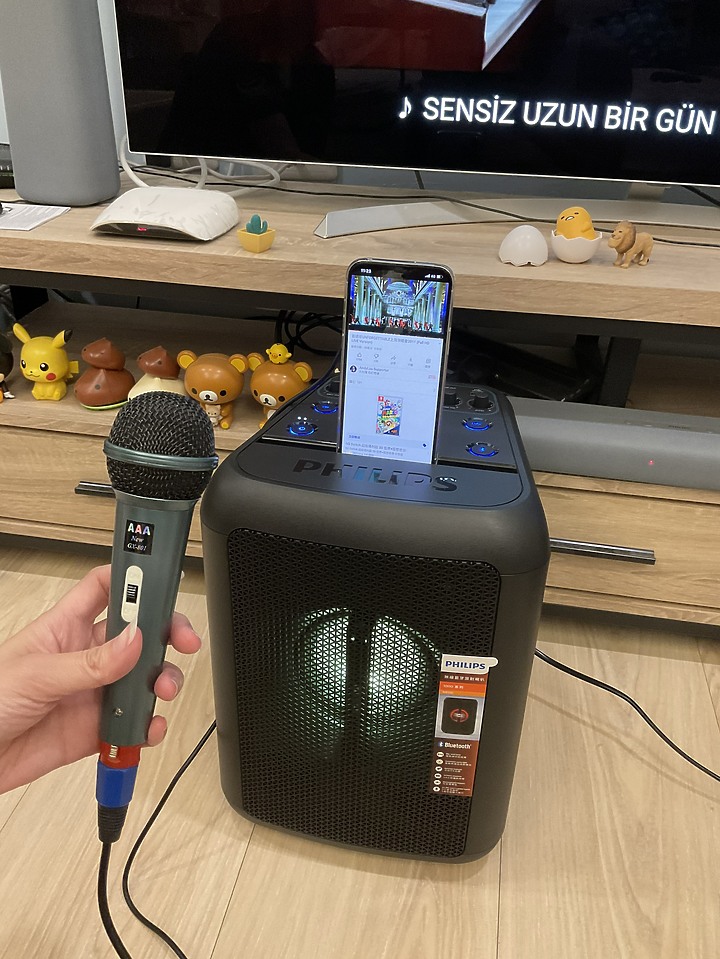 終於入手了派對喇叭,PHILIPS TANX100