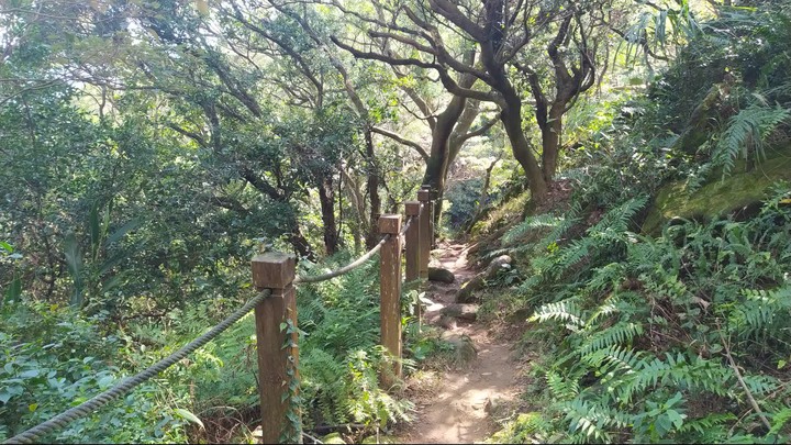 [樂山童盟] [新北鶯歌] 鶯歌石山-牛灶坑山-龜公山